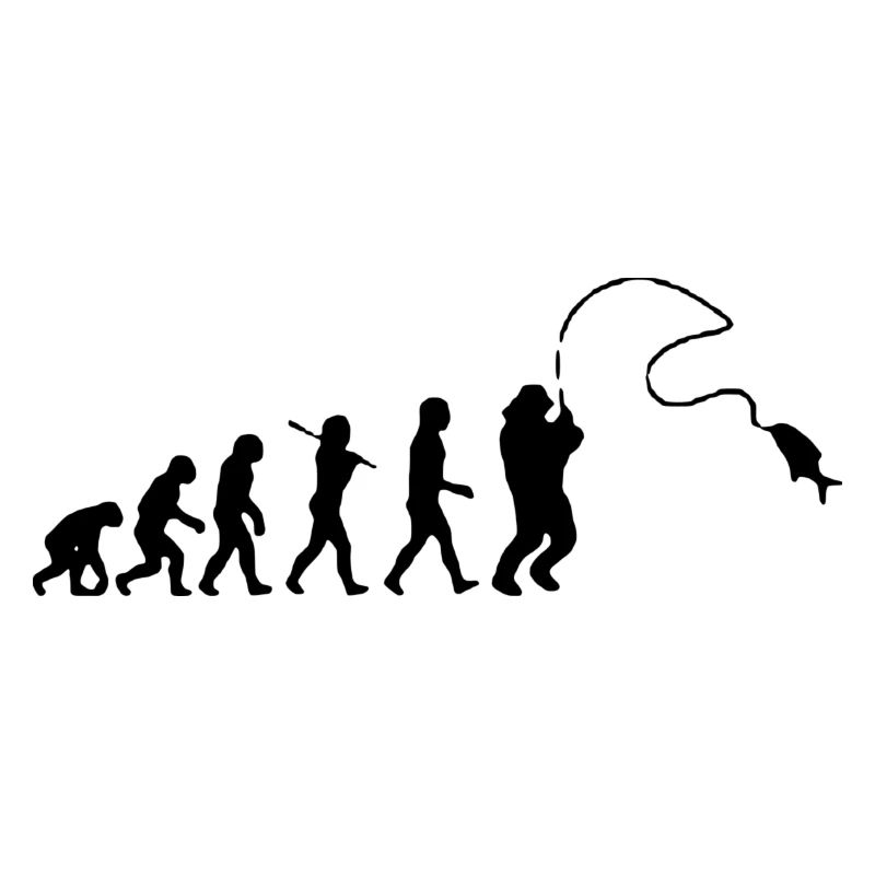 Evolution Fischen Angeln
