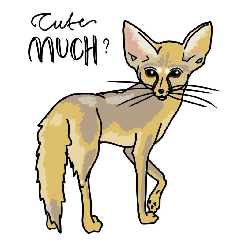 Little desert fox - Cute much?