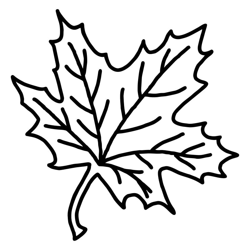 Feuille d'érable