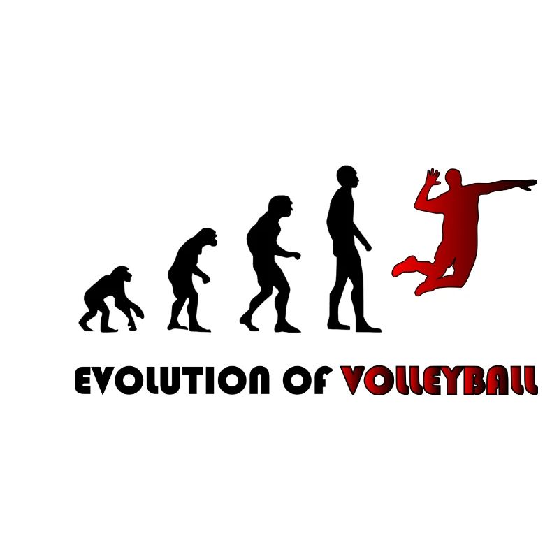 Evolution of Volleyball