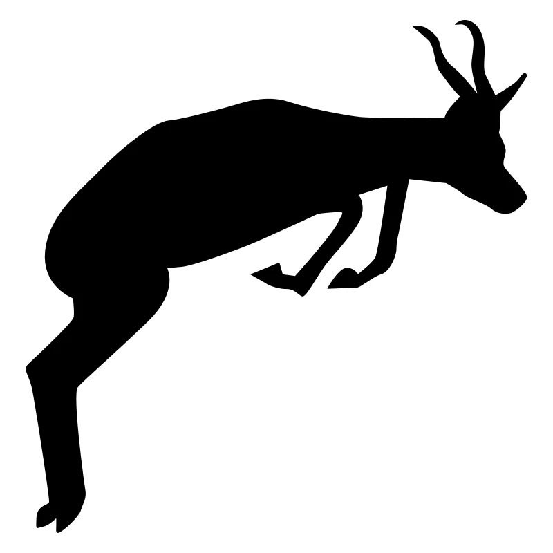 Springbok