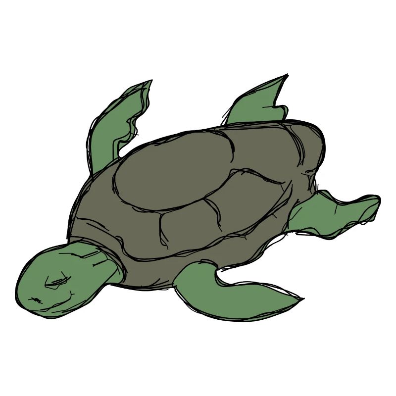 Tortue