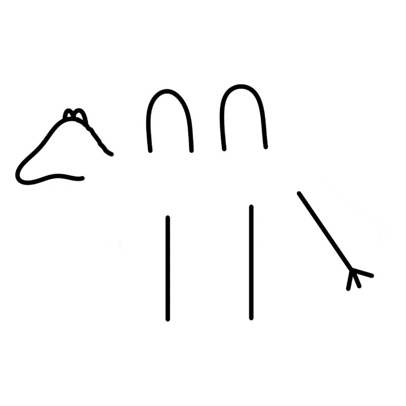 Kamel
