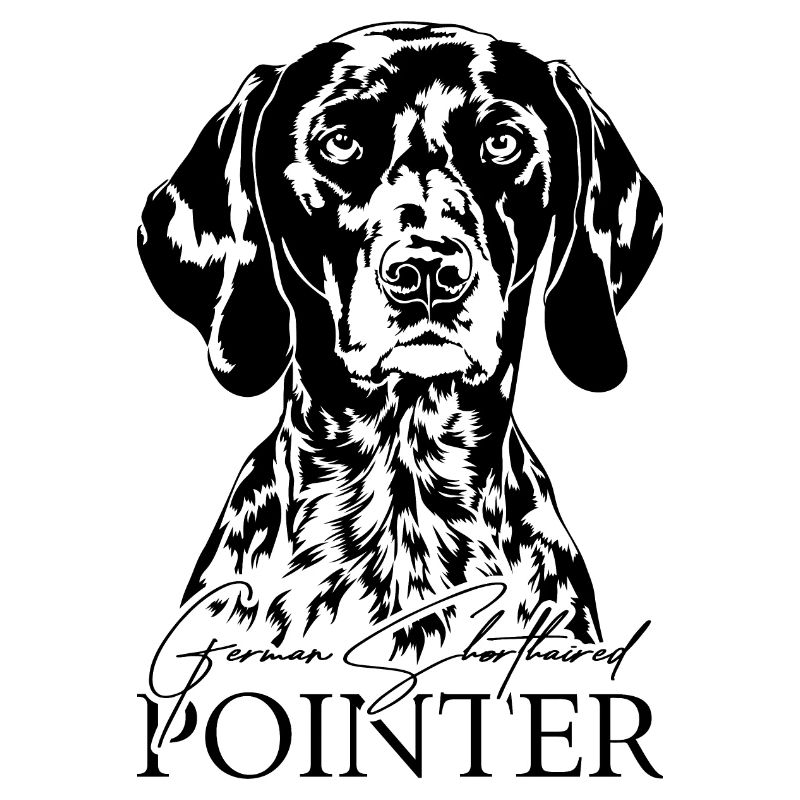 German Shorthaired Pointer Hund Wilsigns Jagdhunde