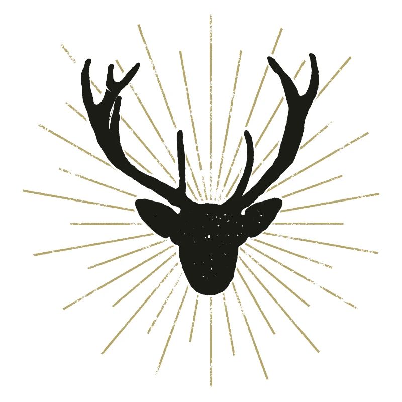 Nice illuminated deer head