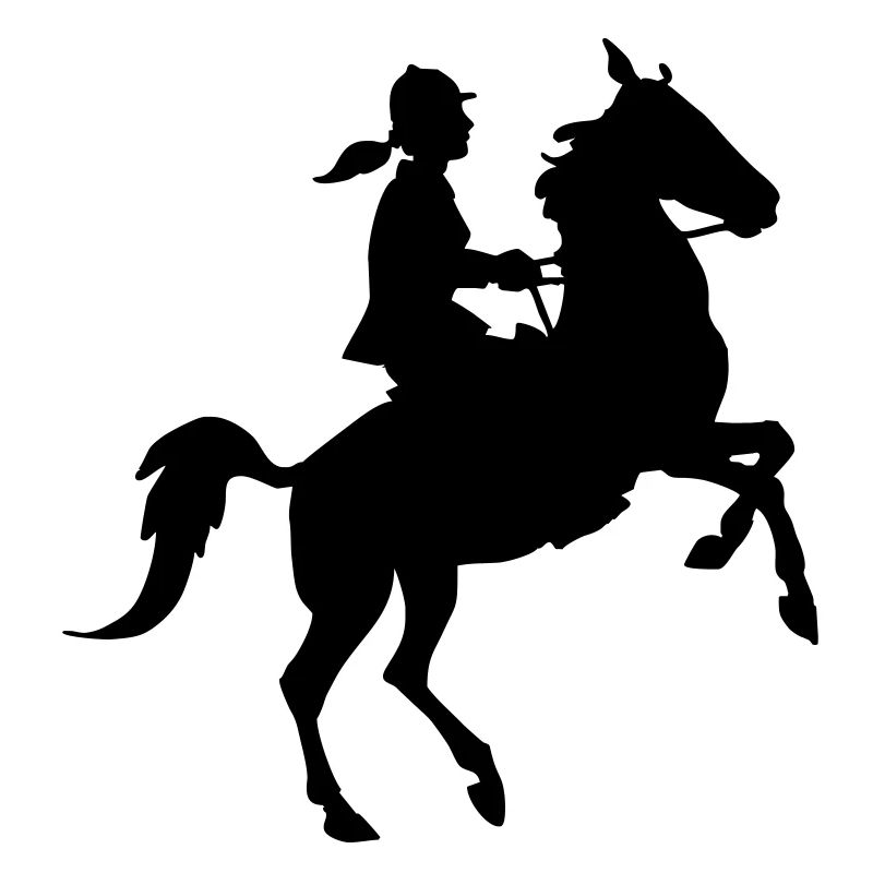 Reiterin