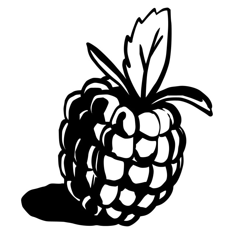 Himbeere Design klassisch