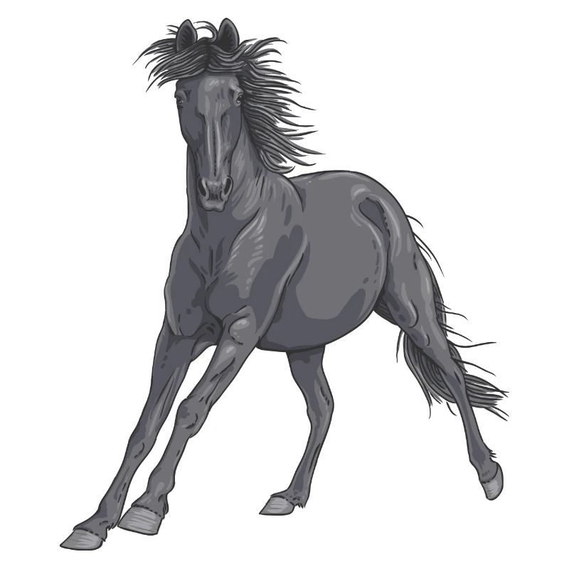 horse