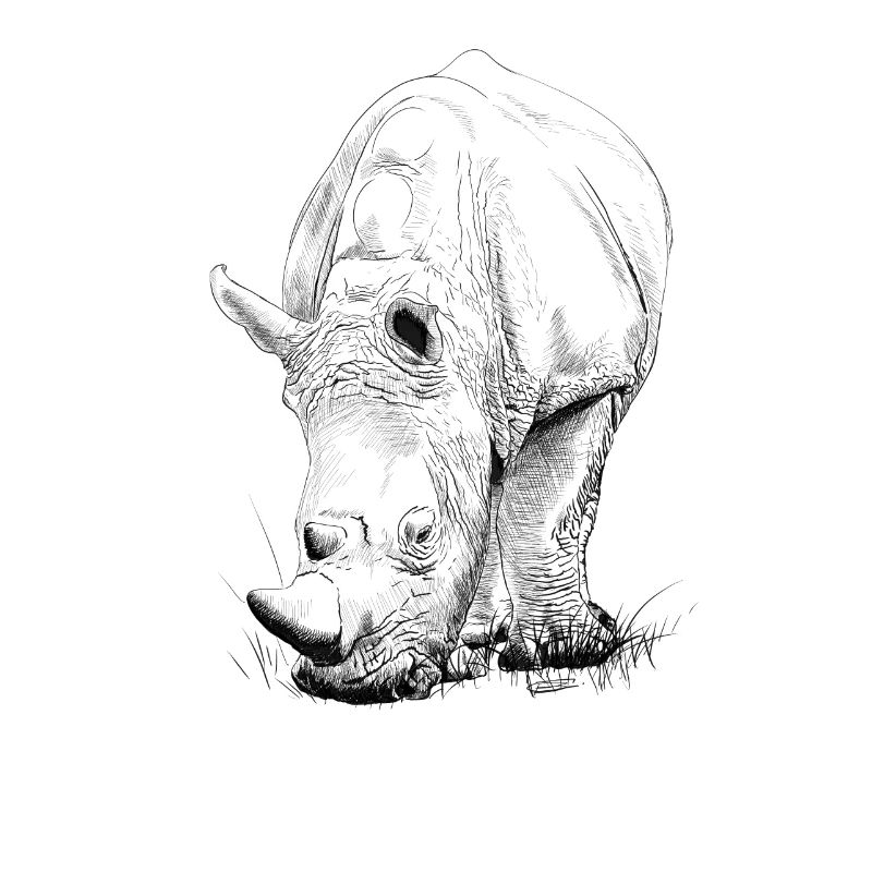 Nashorn