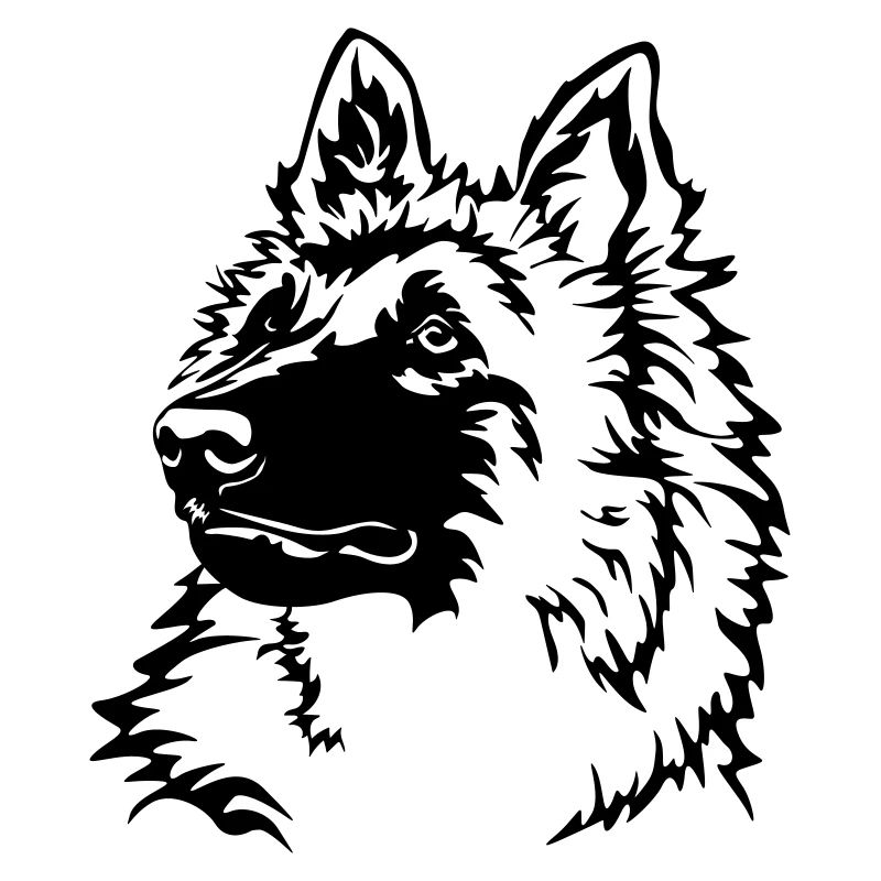 Tête tervuren