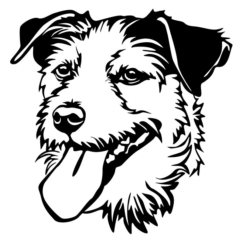 Parson Russel Terrier Kopf