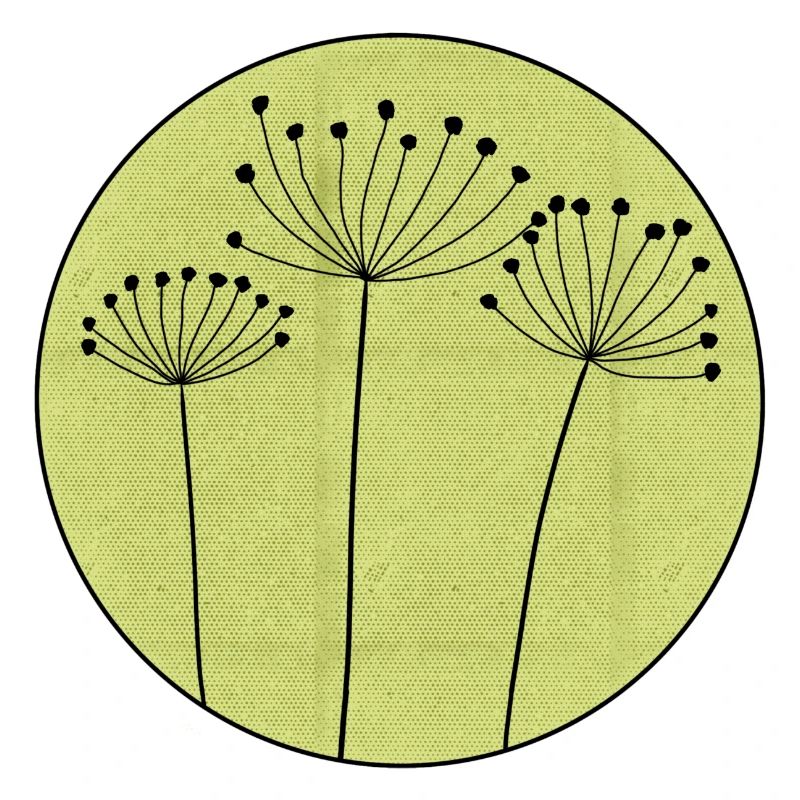 Trockenblume Minimal