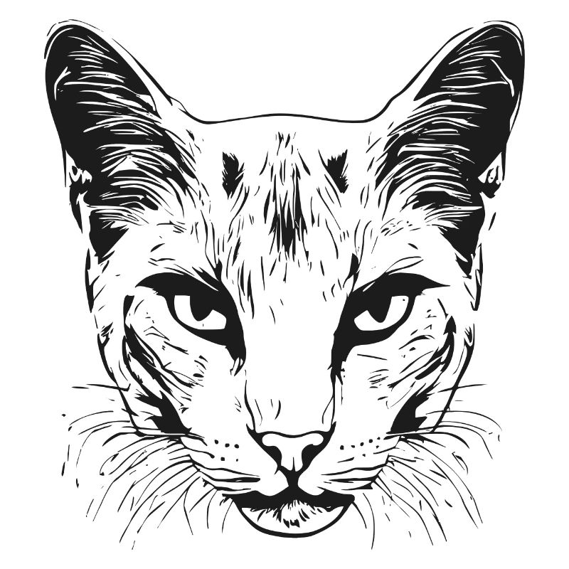 Katze 1