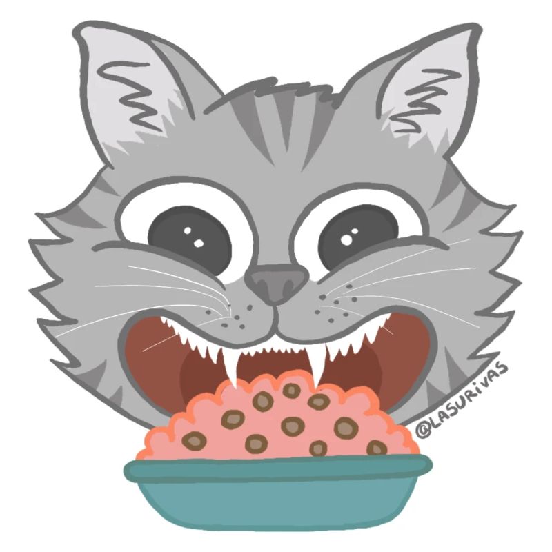 Gato