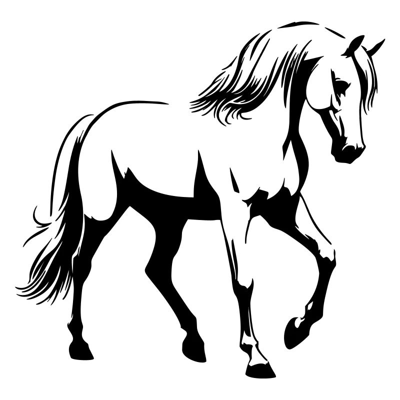 Pferd Araber