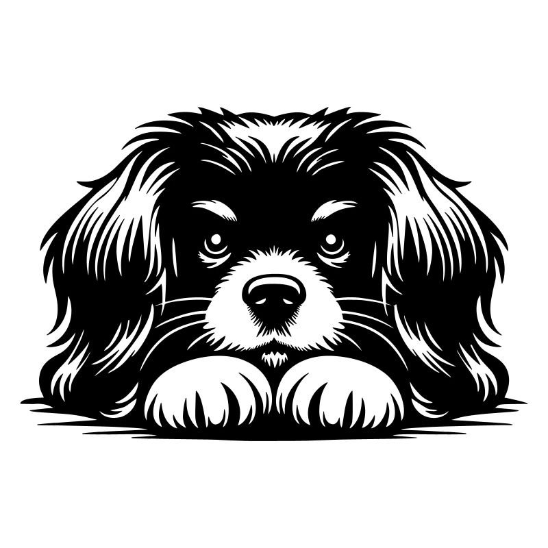 Tibetan Spaniel Head with Paws