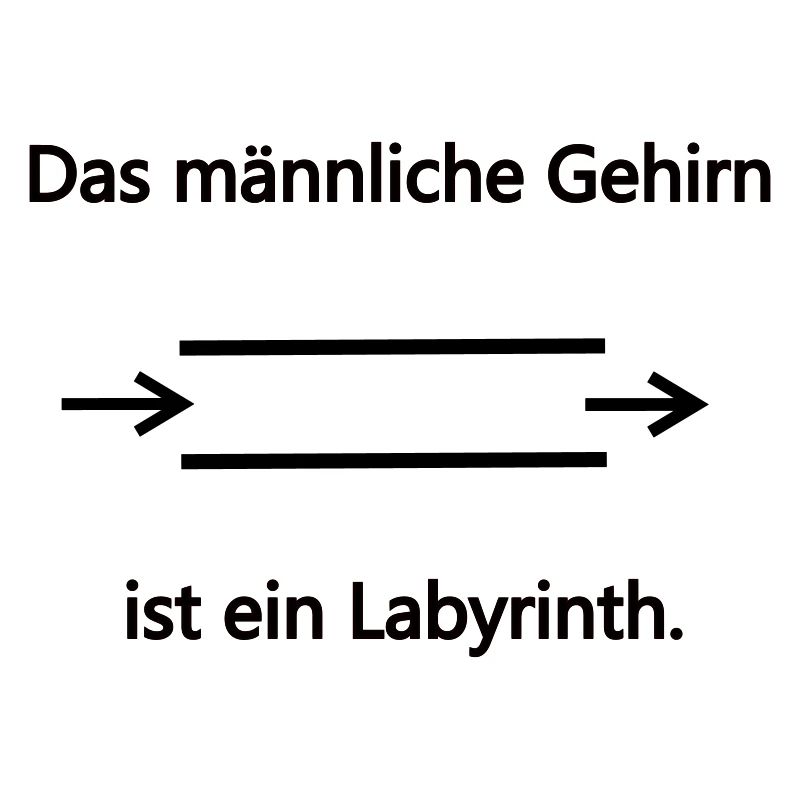 Labyrinth maennlich