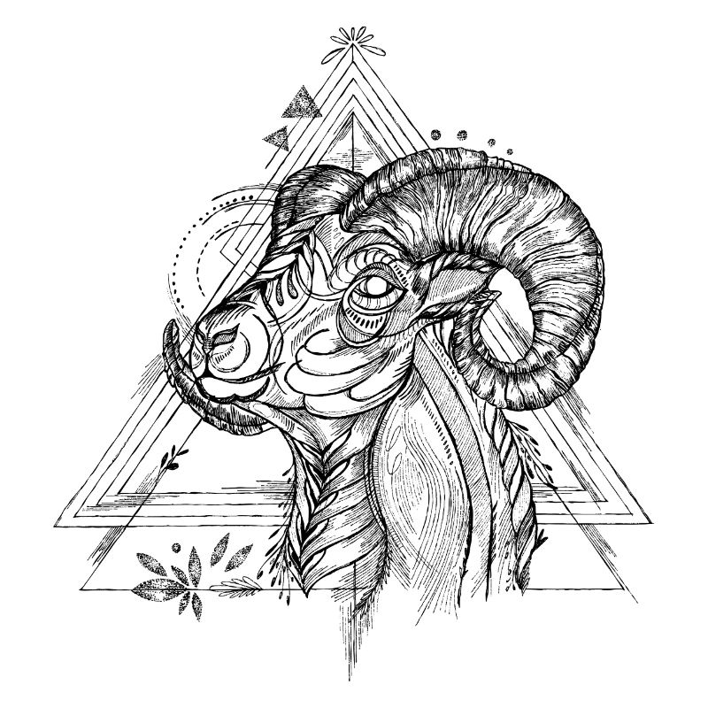 Widder Ram - Sternzeichen