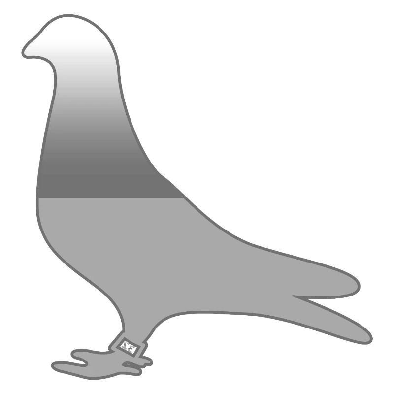 Tauben