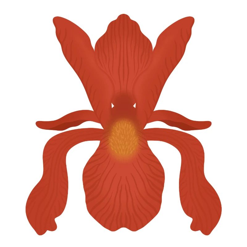 Karmesinrote Irisflamme