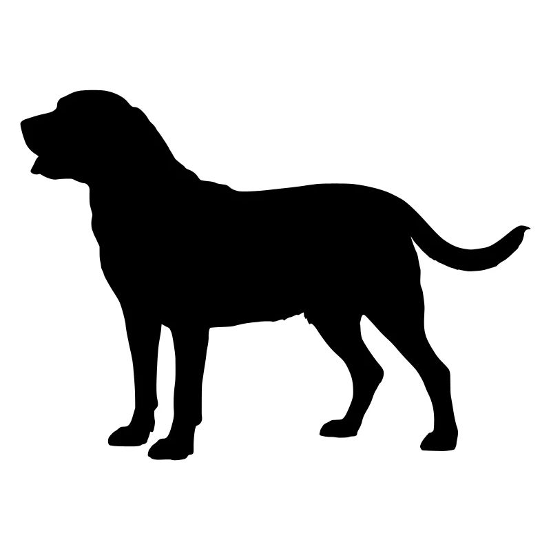 Broholm Dog