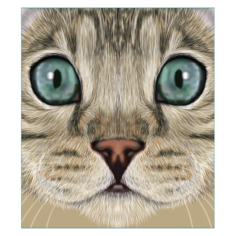 Chat léopard