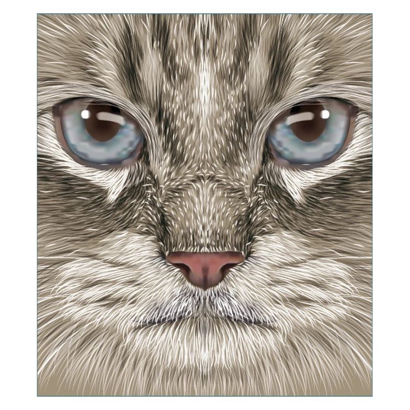Sibirische Katze