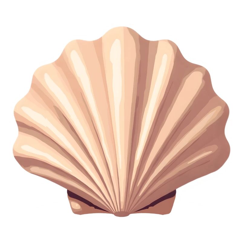 Coquille
