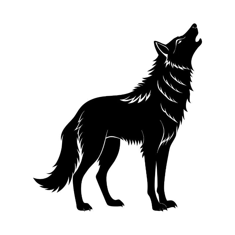 Coyote