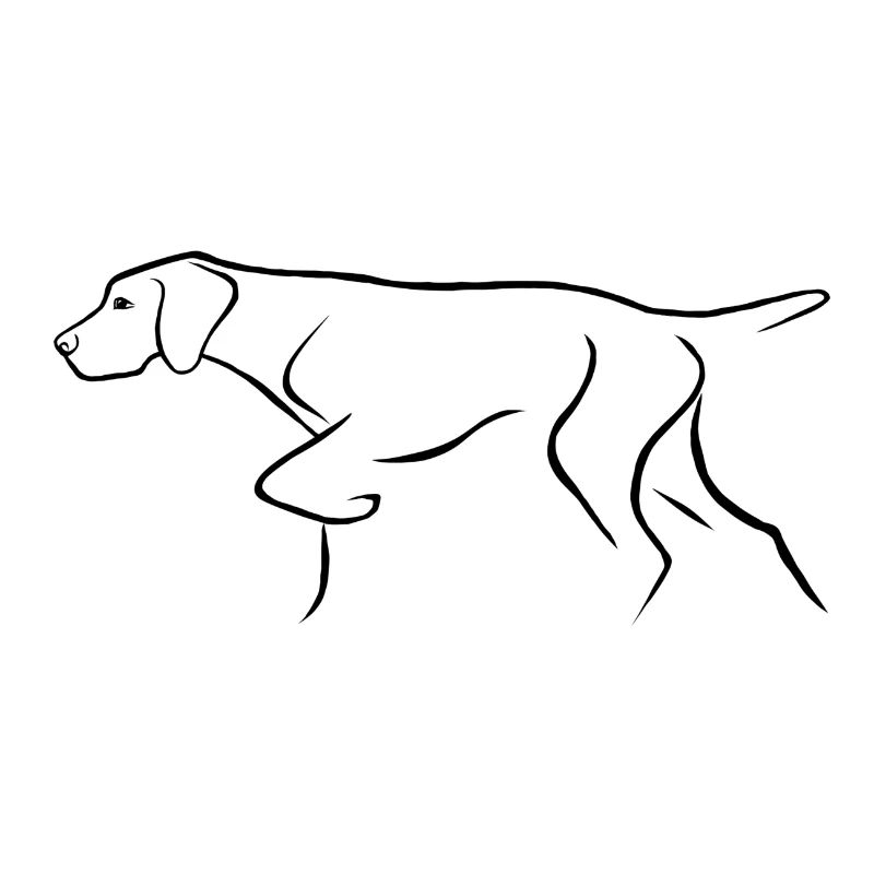 Vorstehhund