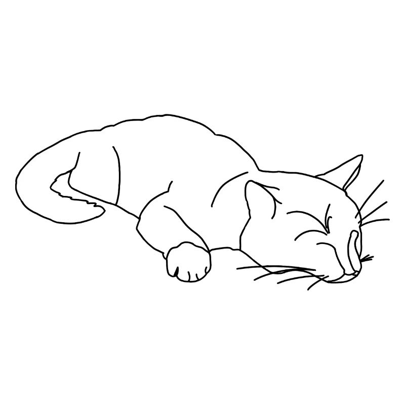 schlafende Katze Skizze