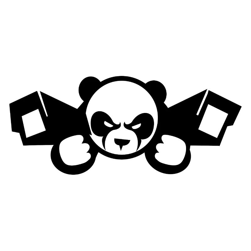 China Surveillance Panda