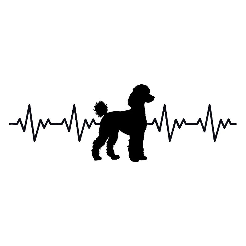 Pudel EKG Herzschlag