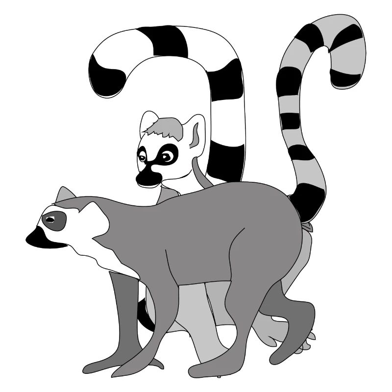 Kattas