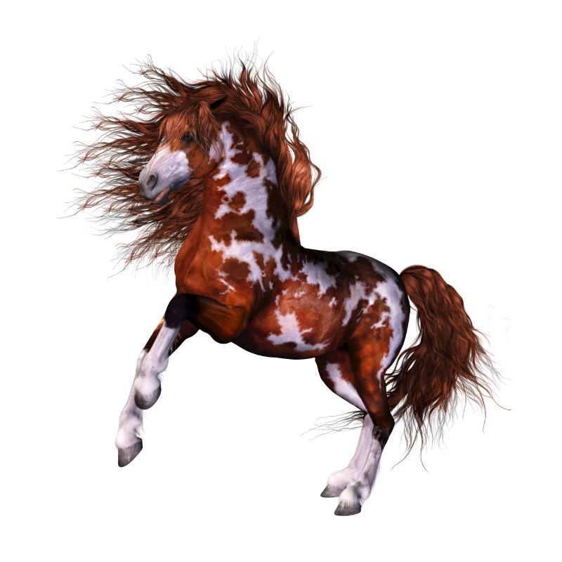 Cheval maternelle