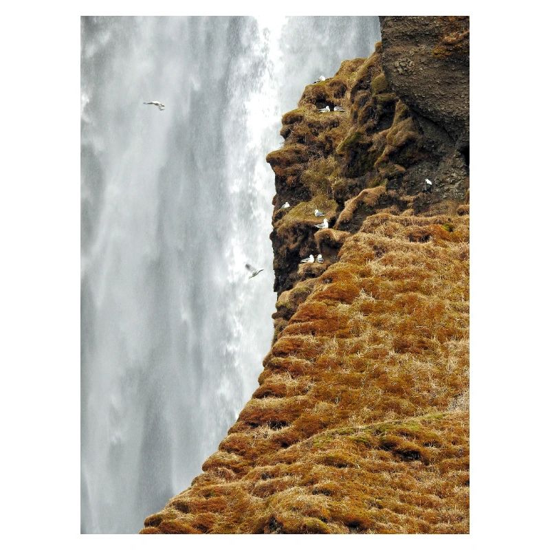 Mossy Cliff Wasserfall-Vista