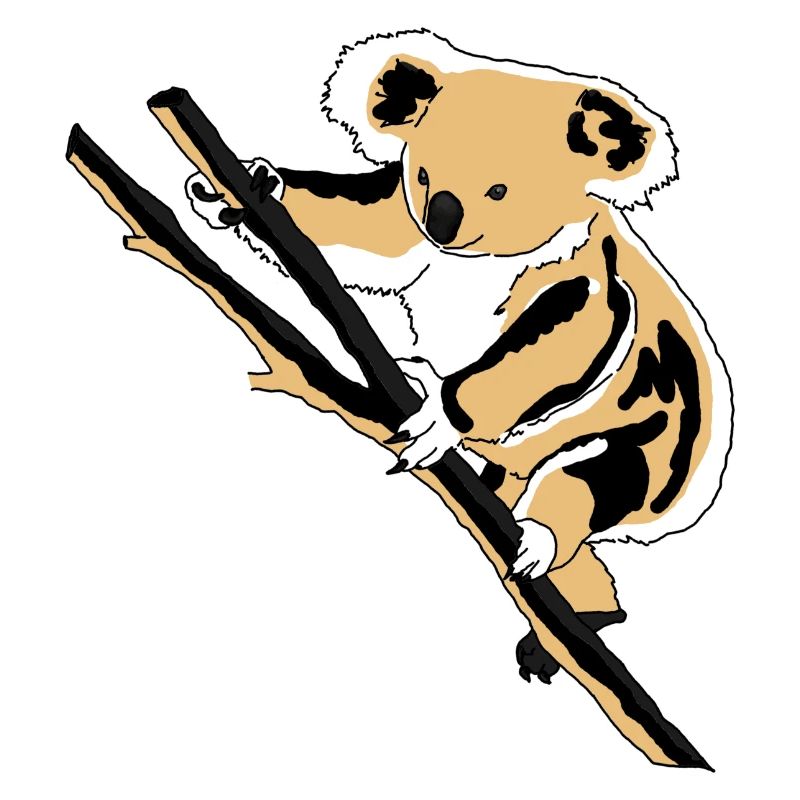 Koala