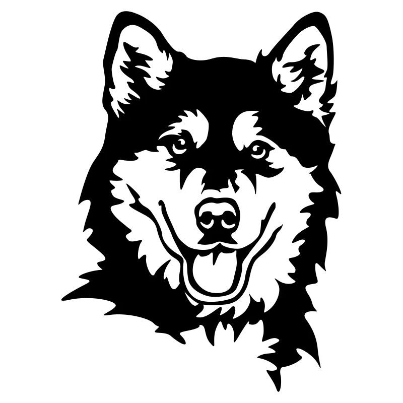 Alaskan Malamute Head