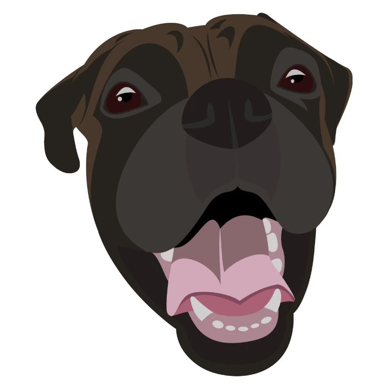 Boxer
