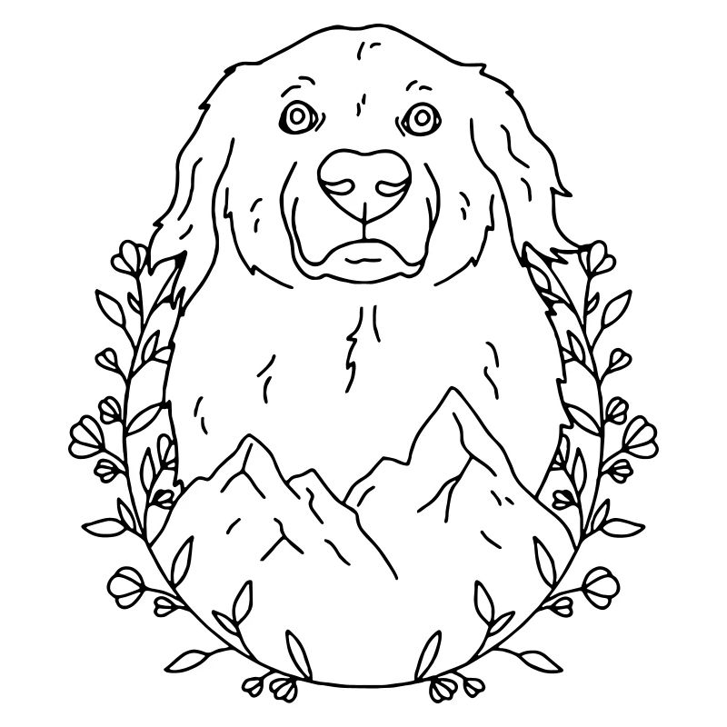 Hund