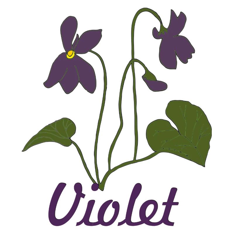 veilchen violet