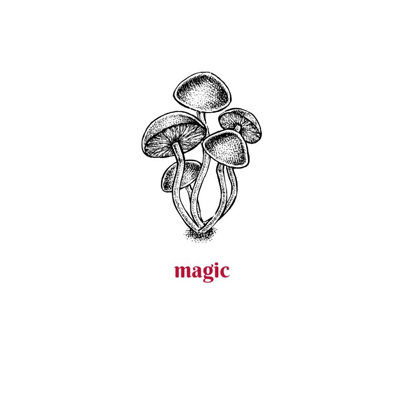magic mushroom