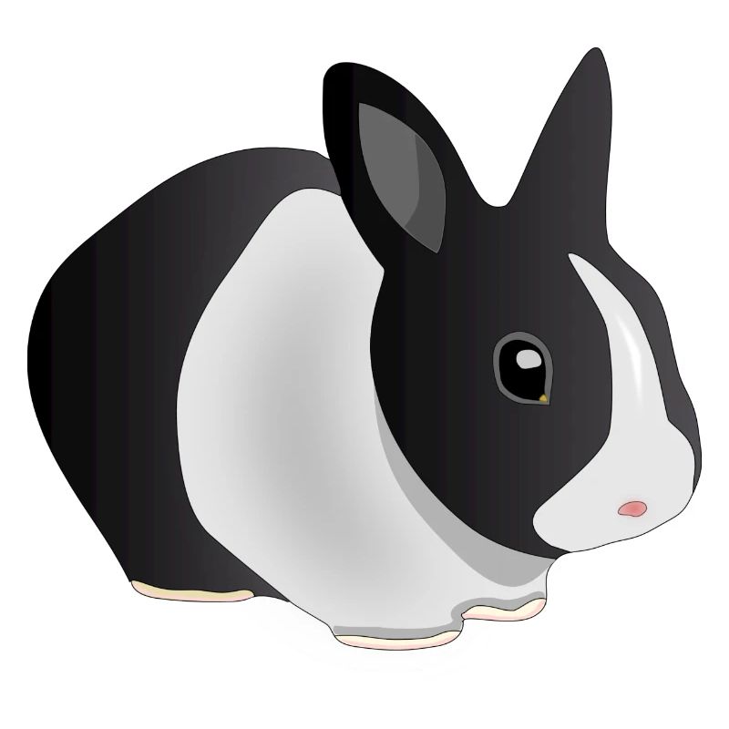 Hase