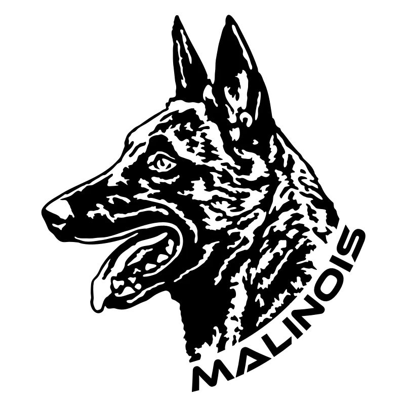 490 Malinois