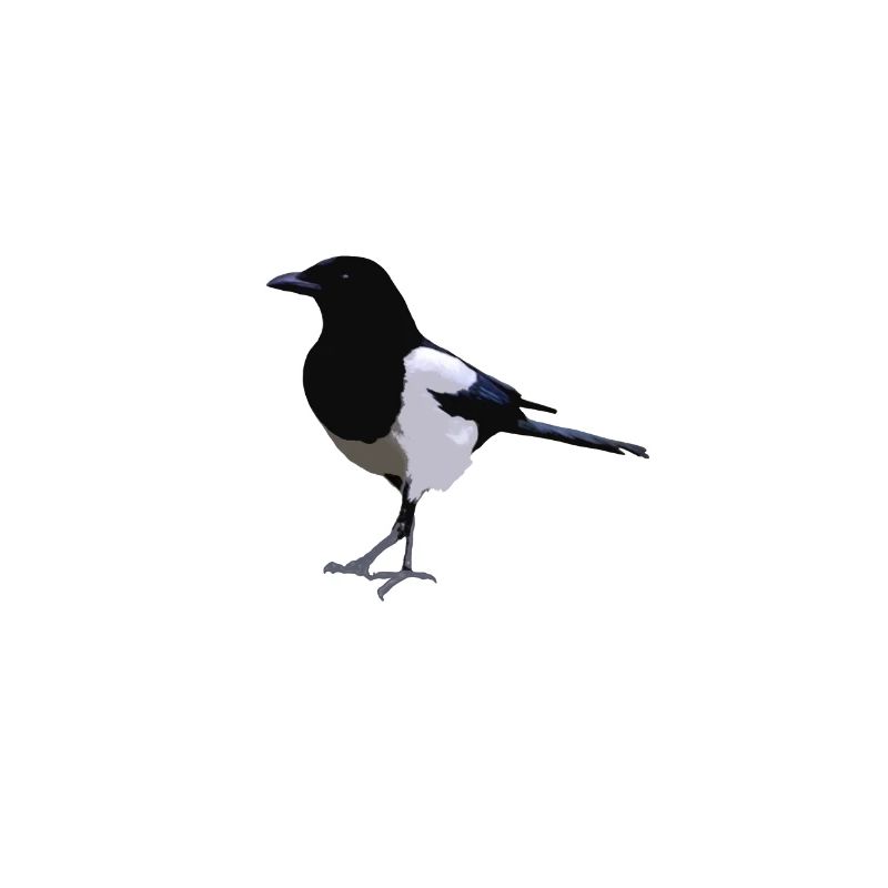 Elster