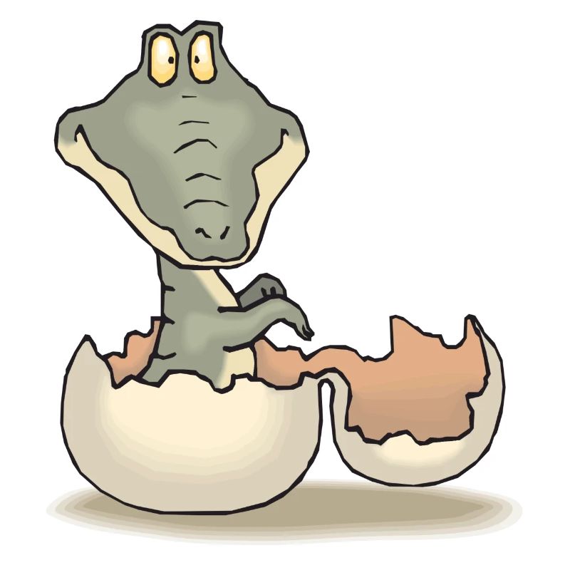 Aligator