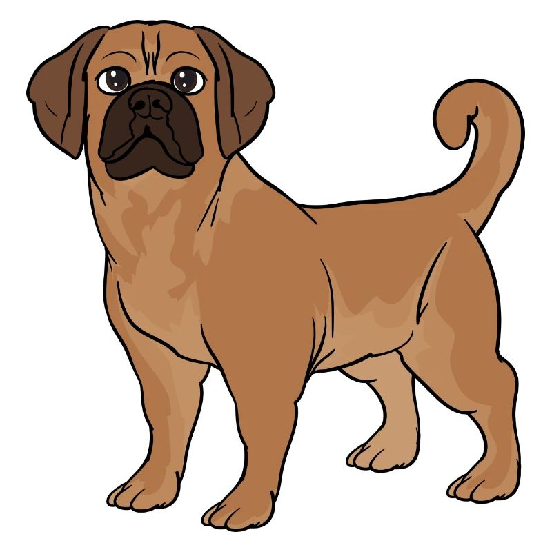 Puggle beagle carlin
