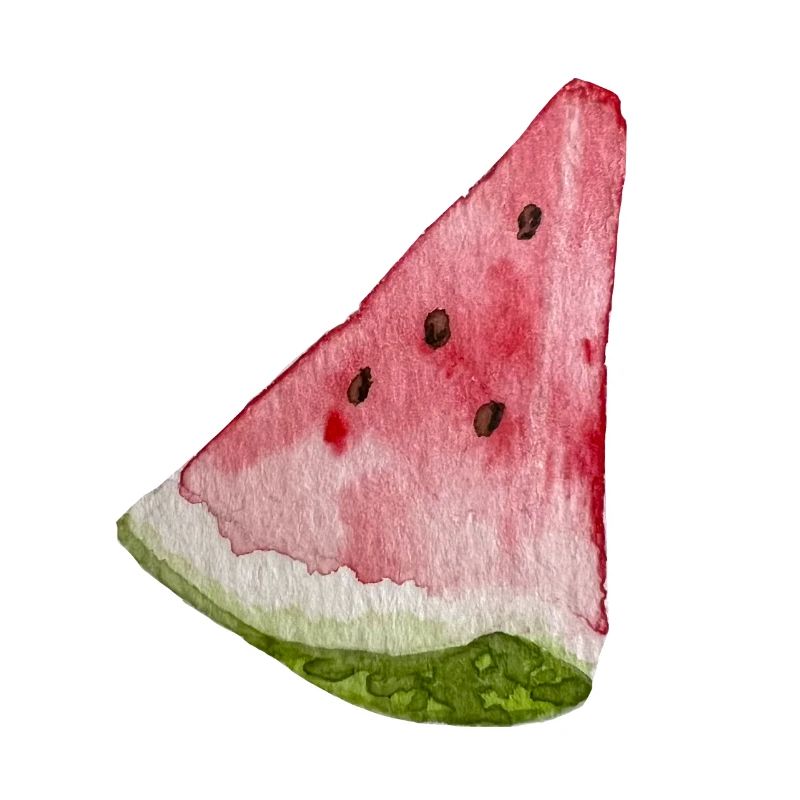 Tranche de pastèque