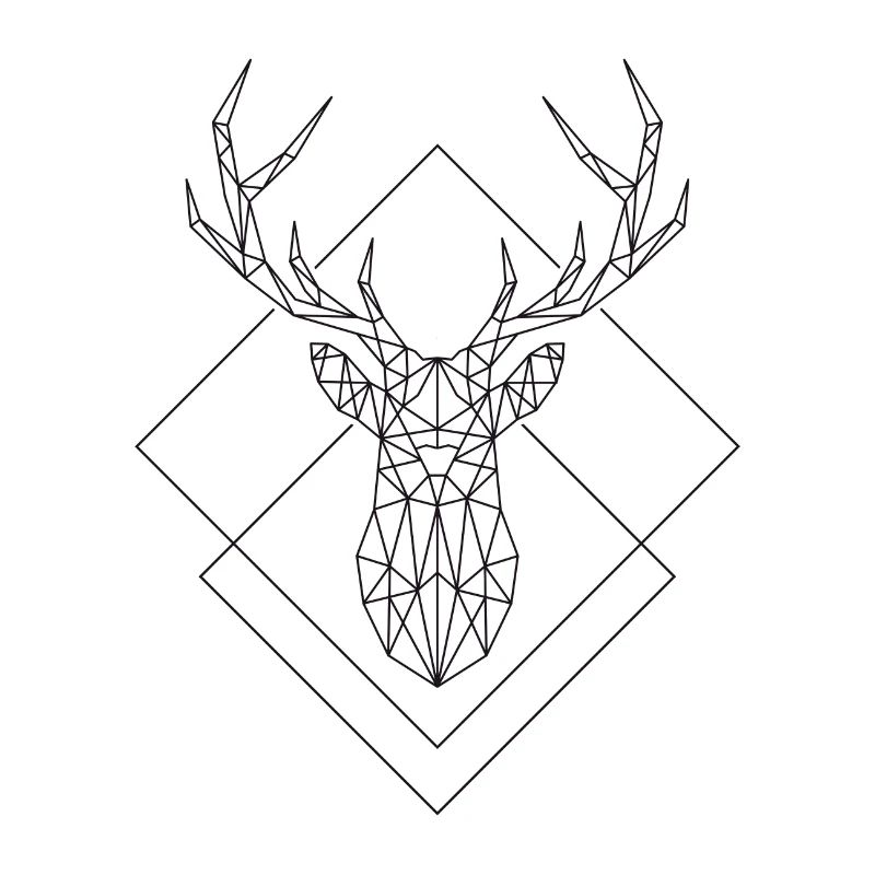 Polygon Hirsch