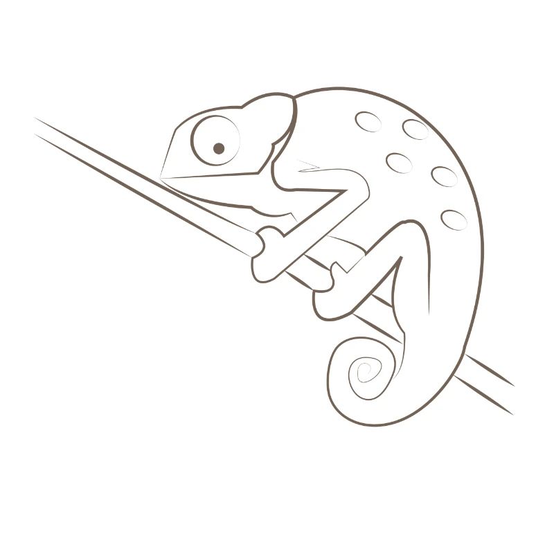 chamaeleon